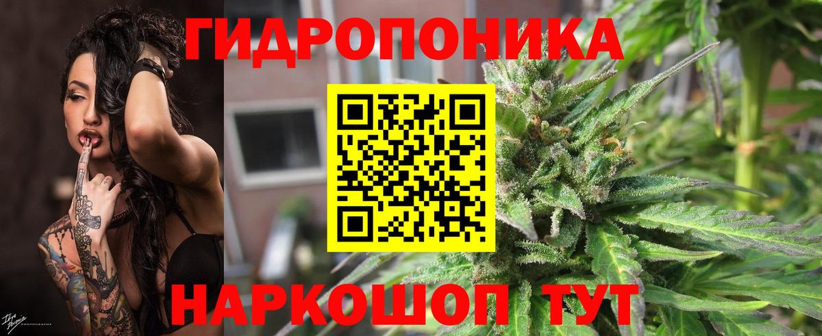 Гашиш Назрань